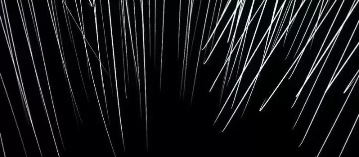 Mạt Nhật Thiên Hạ: Ta, Virus Quân Vương - Chapter 88 - Page 69