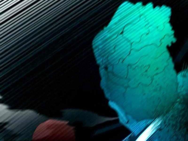 Thực Thi Công Lý - Chapter 2 - Page 155