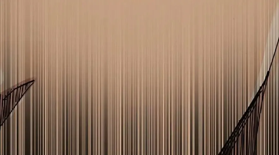 Để Có Thể Sống Sót - Chapter 190 - Page 367