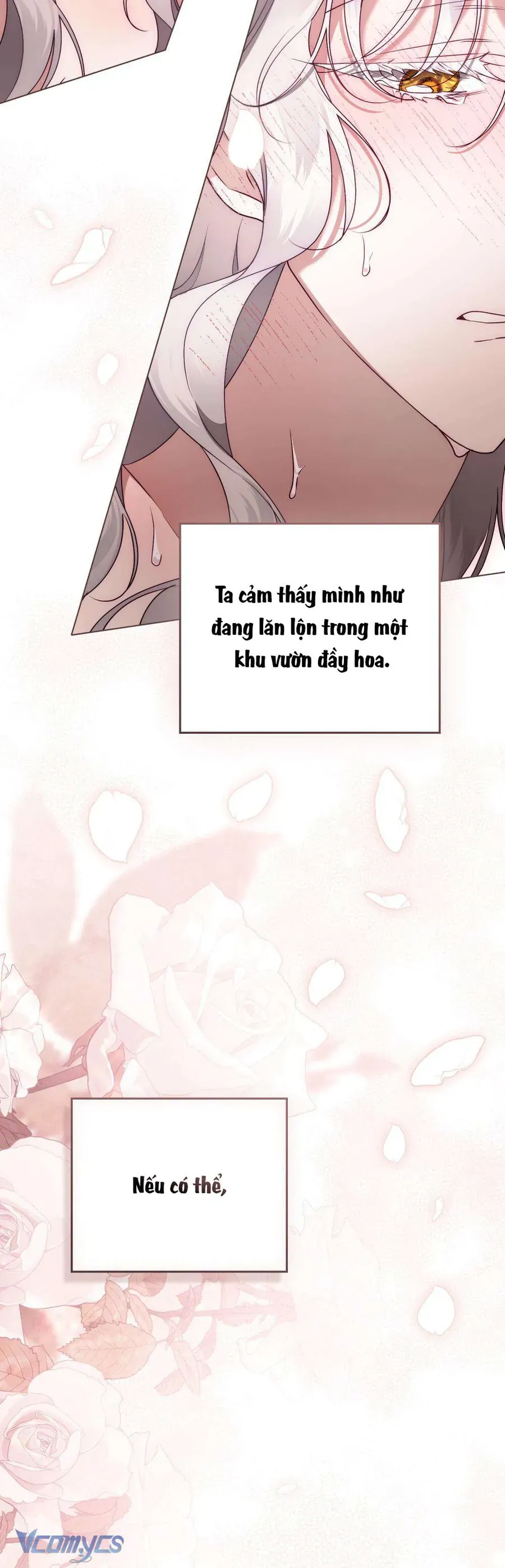 Hôn Nhân Khế Ước - Chapter 61 - Page 17