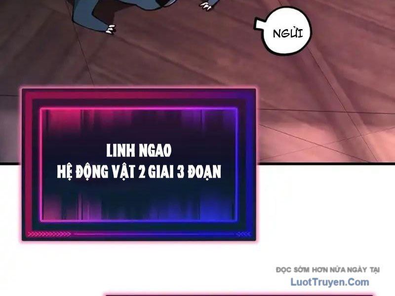 Toàn Cầu Ngự Thú: Ta Có Thể Thấy Lộ Tuyến Tiến Hoá - Chapter 45 - Page 9