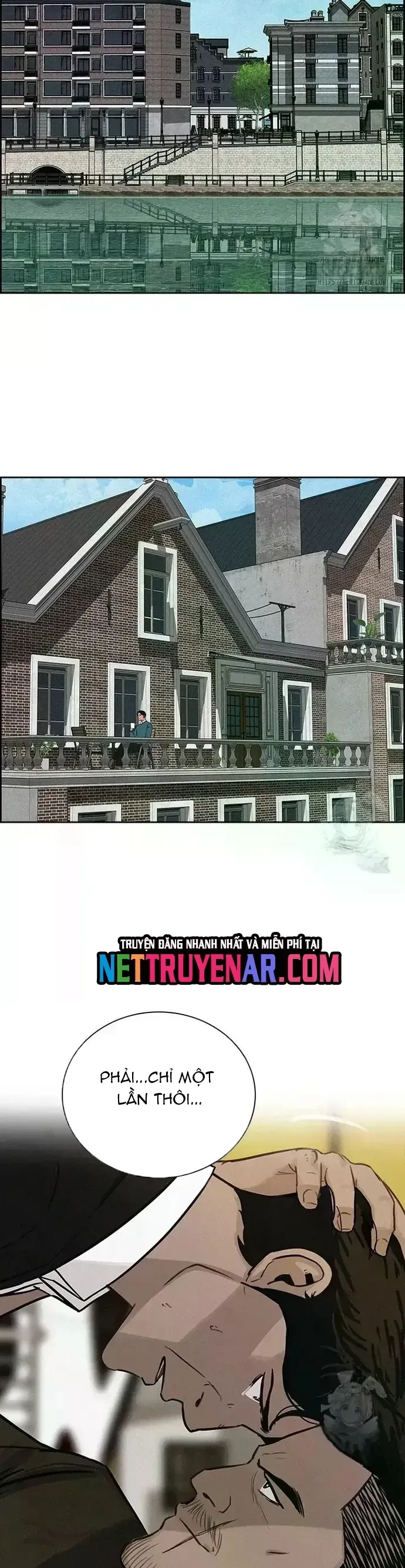 Chúa Tể Đồng Tiền - Chapter 238 - Page 16