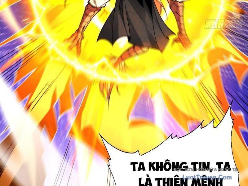 Gặp Mạnh Thì Càng Mạnh, Tu Vi Của Ta Không Giới Hạn - Chapter 85 - Page 144
