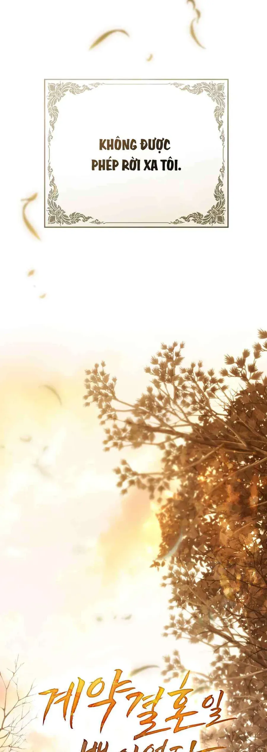 Hôn Nhân Khế Ước - Chapter 62 - Page 23