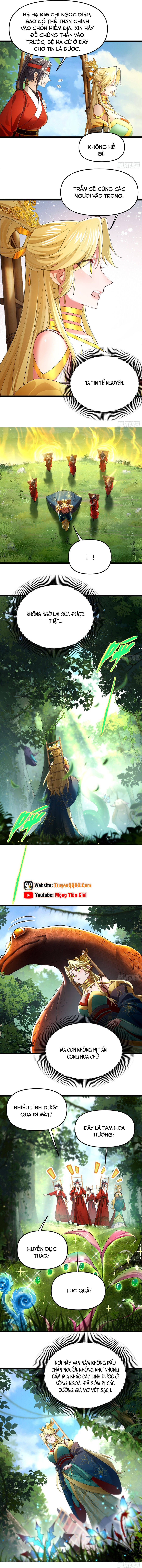 Kim Đan Là Hằng Tinh, Ngươi Gọi Đây Là Tu Tiên À? - Chapter 8 - Page 3