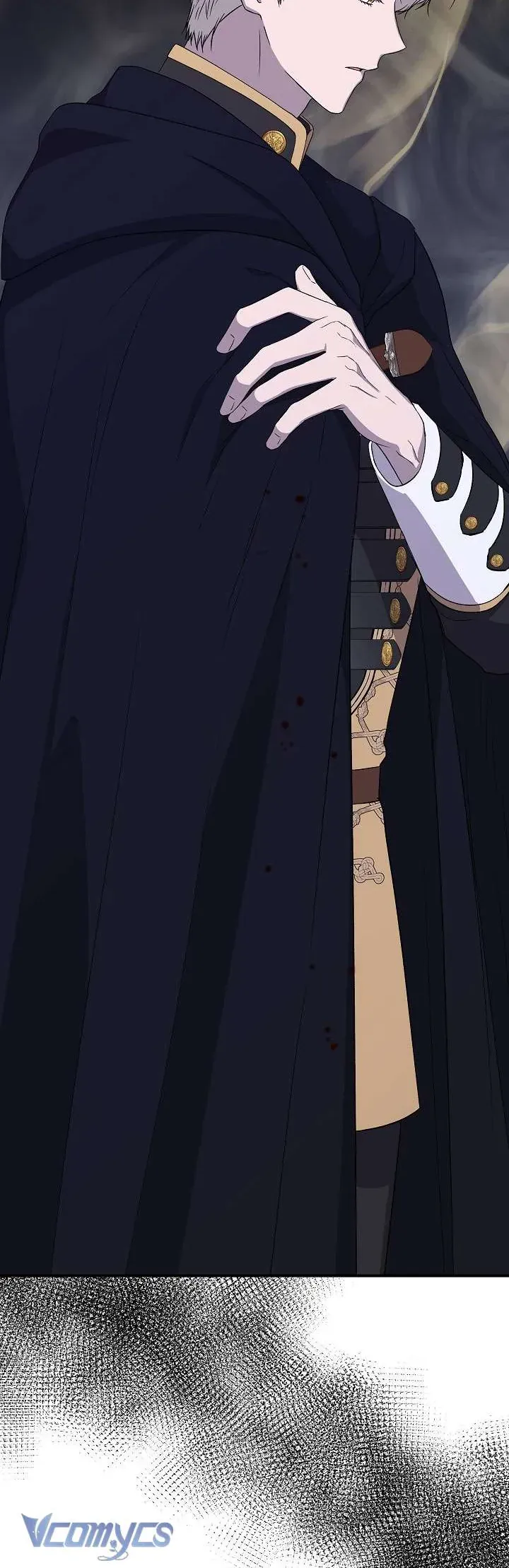 Tôi Không Phải Là Cinderella Chapter 113 - Trang 11