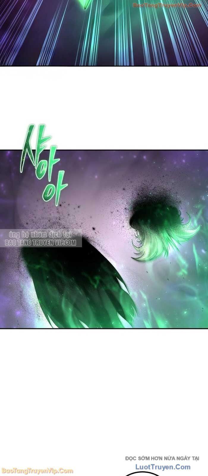 Tôi Mạnh Hơn Anh Hùng - Chapter 95 - Page 13