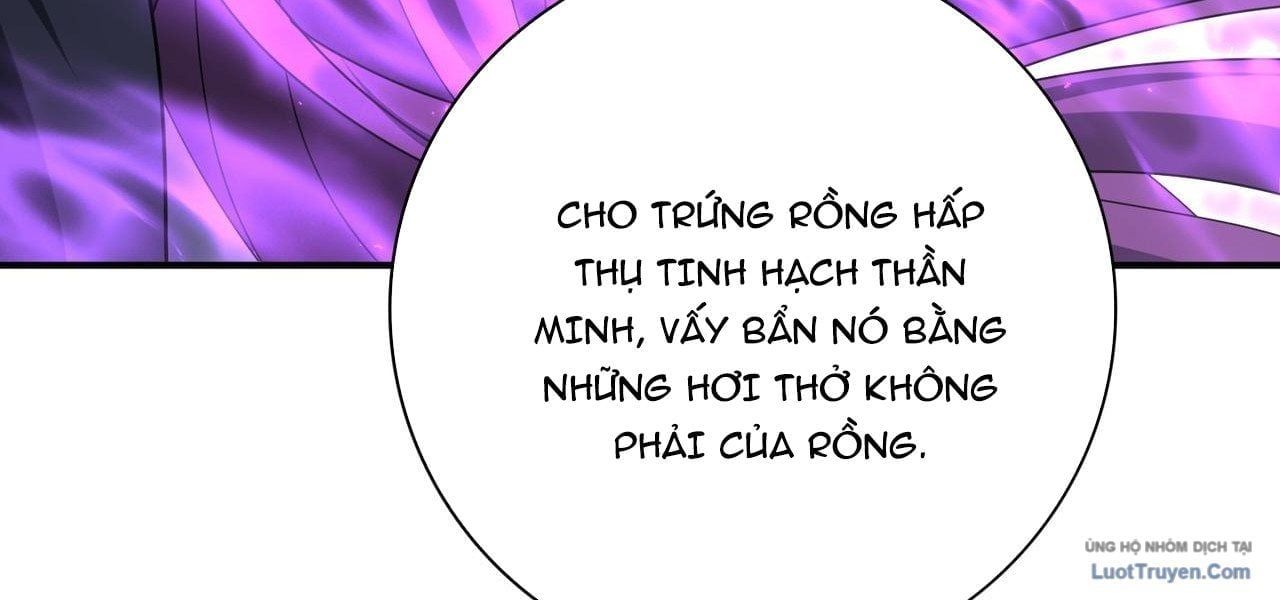 Toàn Dân Chuyển Chức Ngự Long Sư Là Chức Nghiệp Yếu Nhất - Chapter 177 - Page 163