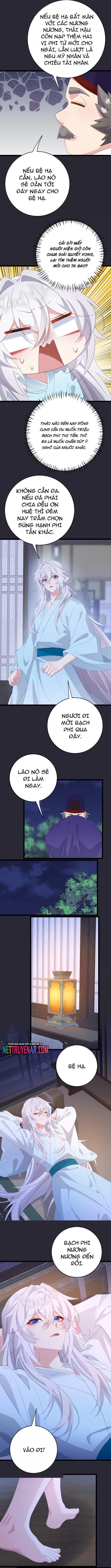 Phơi Bày Thân Phận Nữ Của Hoàng Đế - Chapter 65 - Page 3