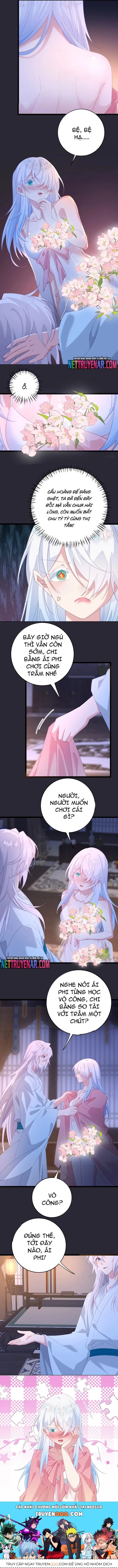 Phơi Bày Thân Phận Nữ Của Hoàng Đế - Chapter 65 - Page 4