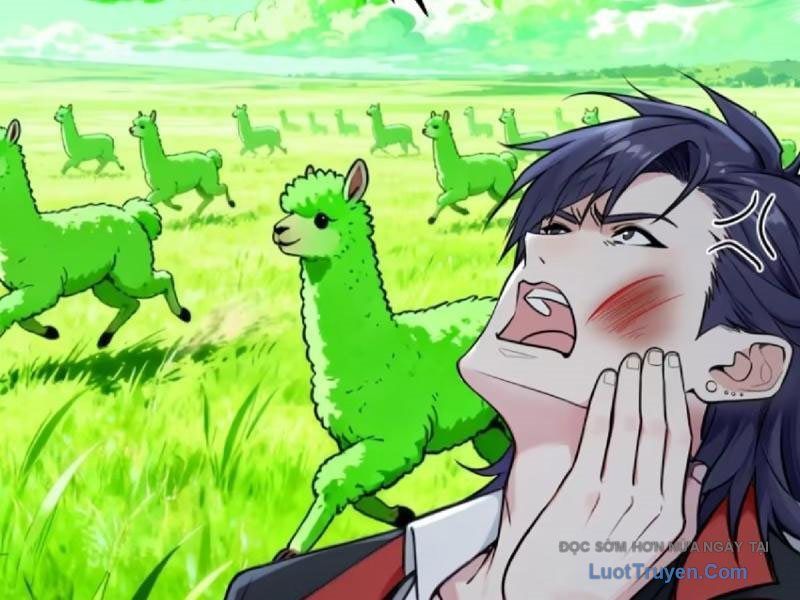 Sau Khi Đầu Thai, Ta Được Kẻ Thù Khắc Thành Vô Địch - Chapter 33 - Page 90