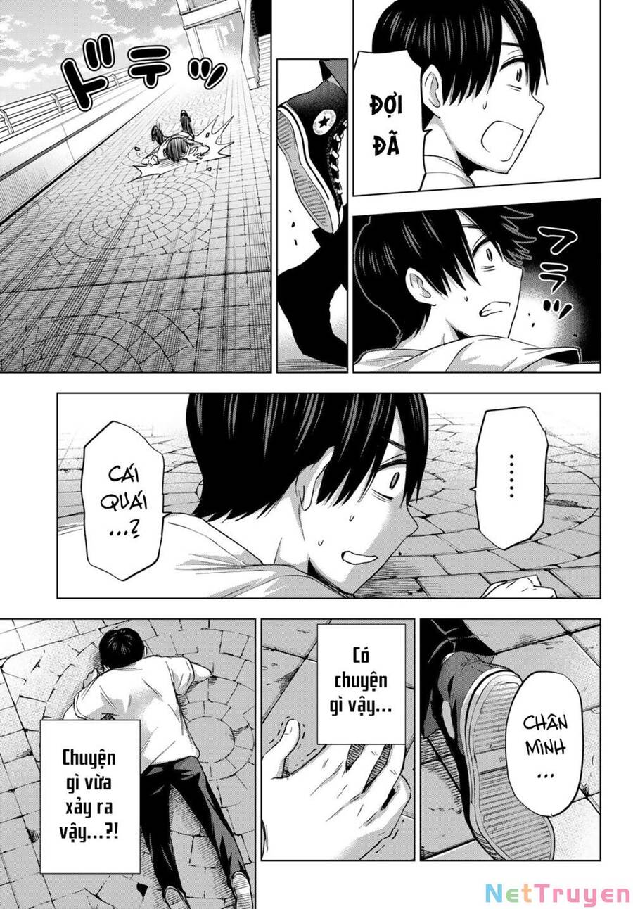 Hôn Thê Cúc Cu - Chapter 73 - Page 17