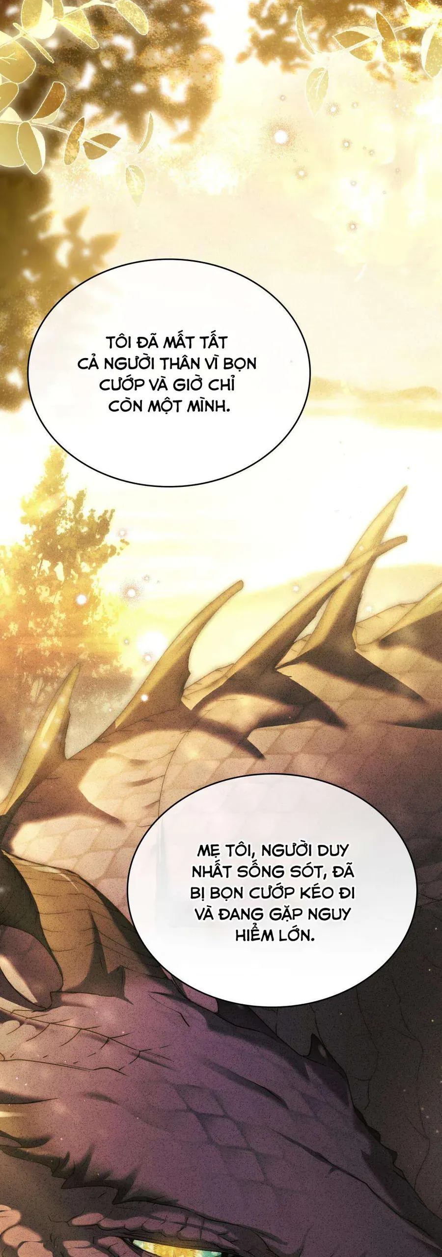 Hôn Nhân Khế Ước - Chapter 65 - Page 23