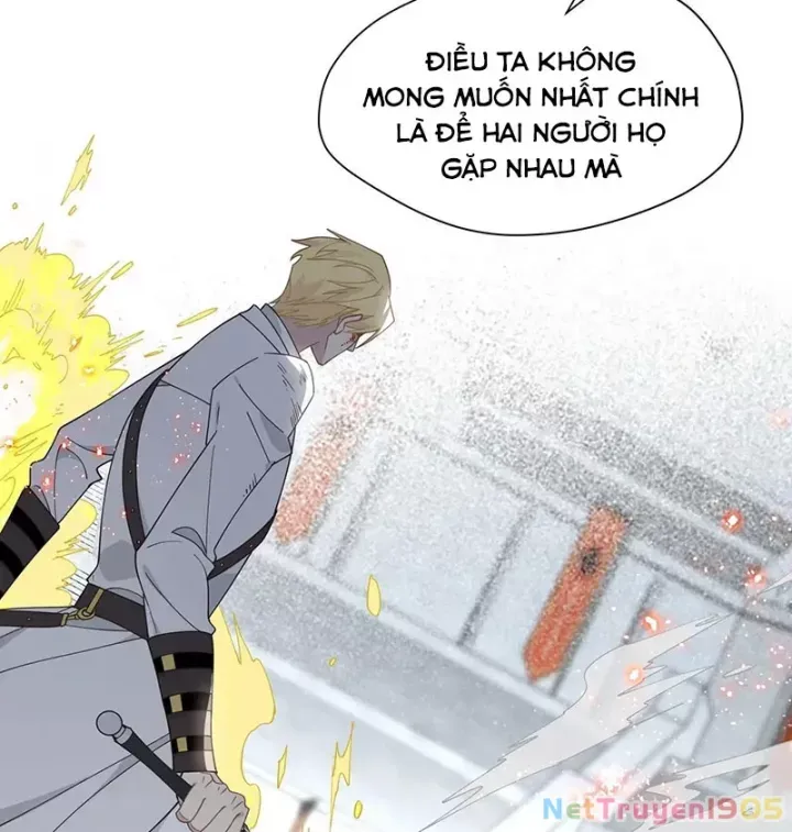 Xuyên Thành Phù Thủy Nuôi Dưỡng Kỵ Sĩ Thánh Điện - Chapter 78 - Page 17
