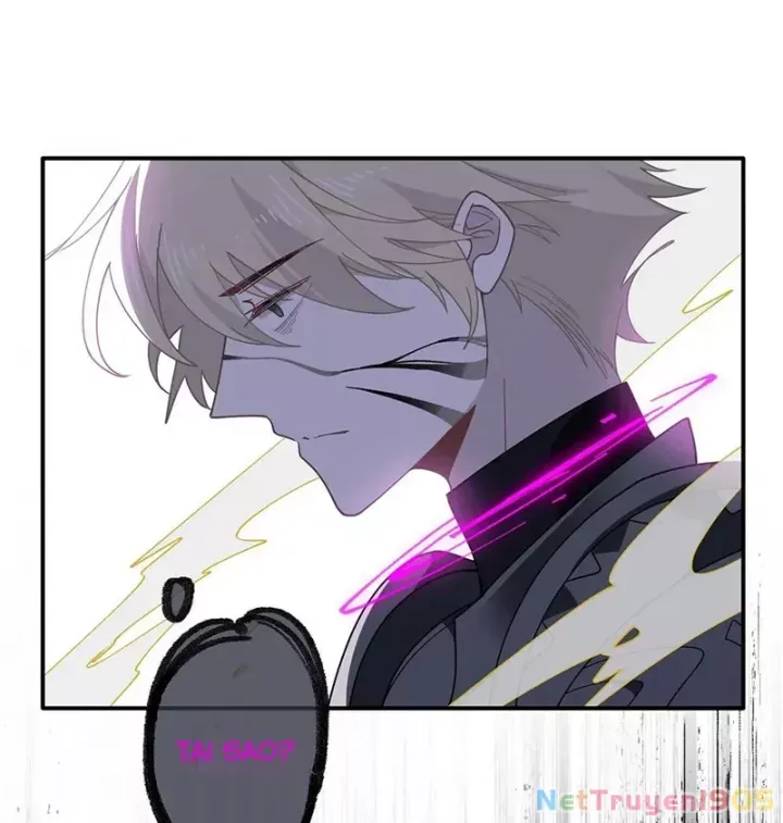 Xuyên Thành Phù Thủy Nuôi Dưỡng Kỵ Sĩ Thánh Điện - Chapter 78 - Page 19