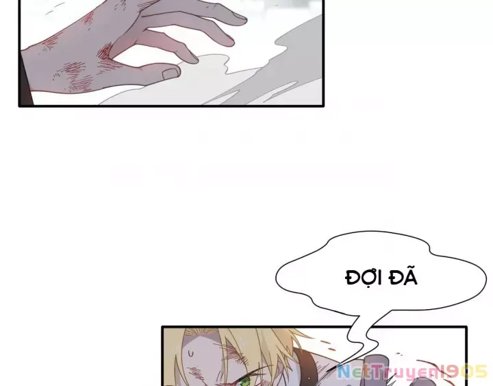 Xuyên Thành Phù Thủy Nuôi Dưỡng Kỵ Sĩ Thánh Điện - Chapter 79 - Page 84