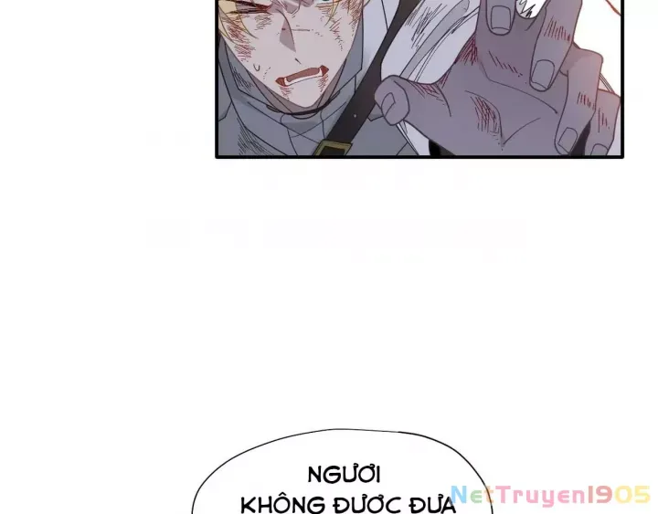 Xuyên Thành Phù Thủy Nuôi Dưỡng Kỵ Sĩ Thánh Điện - Chapter 79 - Page 85