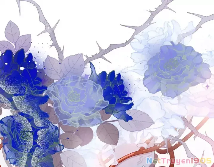 Xuyên Thành Phù Thủy Nuôi Dưỡng Kỵ Sĩ Thánh Điện - Chapter 80 - Page 65