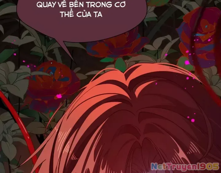 Xuyên Thành Phù Thủy Nuôi Dưỡng Kỵ Sĩ Thánh Điện - Chapter 81 - Page 29