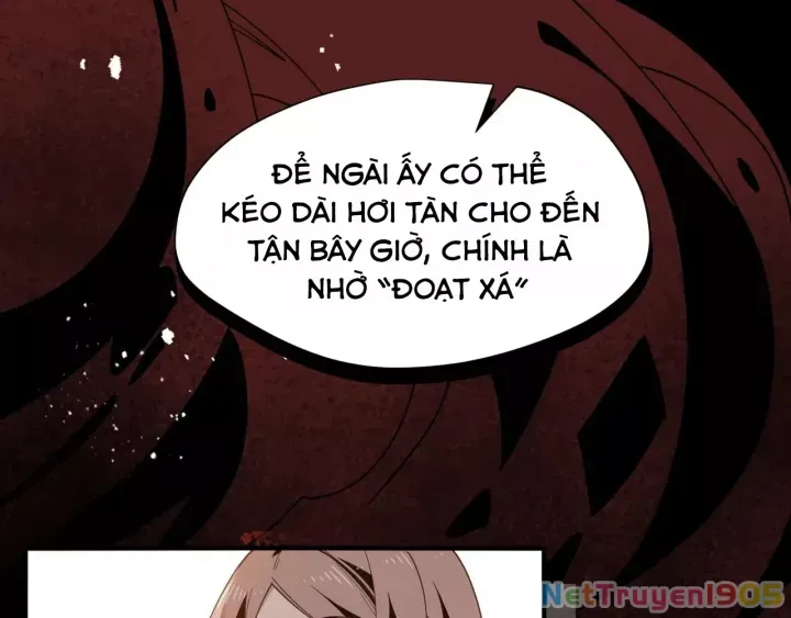 Xuyên Thành Phù Thủy Nuôi Dưỡng Kỵ Sĩ Thánh Điện - Chapter 81 - Page 8