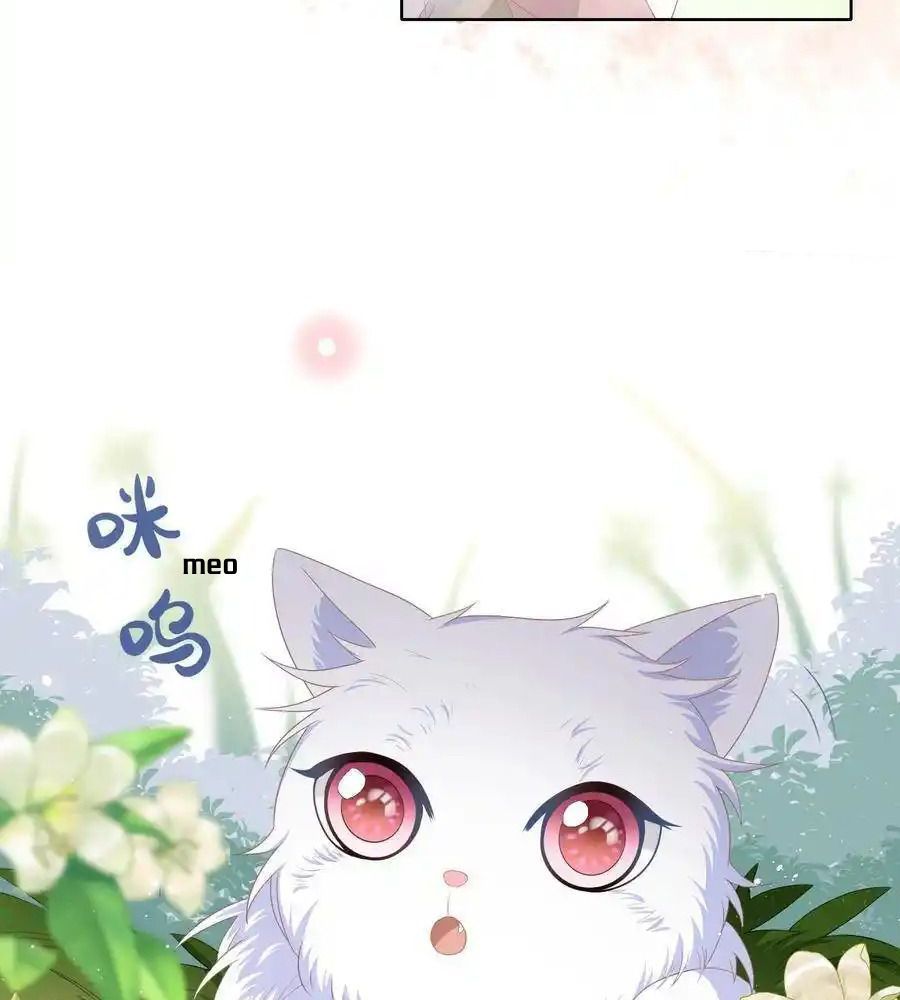 Làm Ảnh Hậu Không Bằng Học Thanh Hoa - Chapter 12 - Page 13