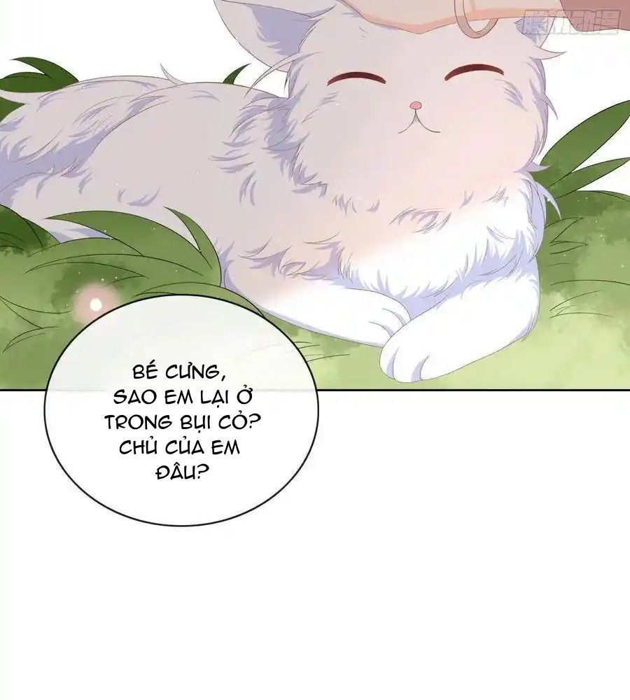 Làm Ảnh Hậu Không Bằng Học Thanh Hoa - Chapter 12 - Page 16