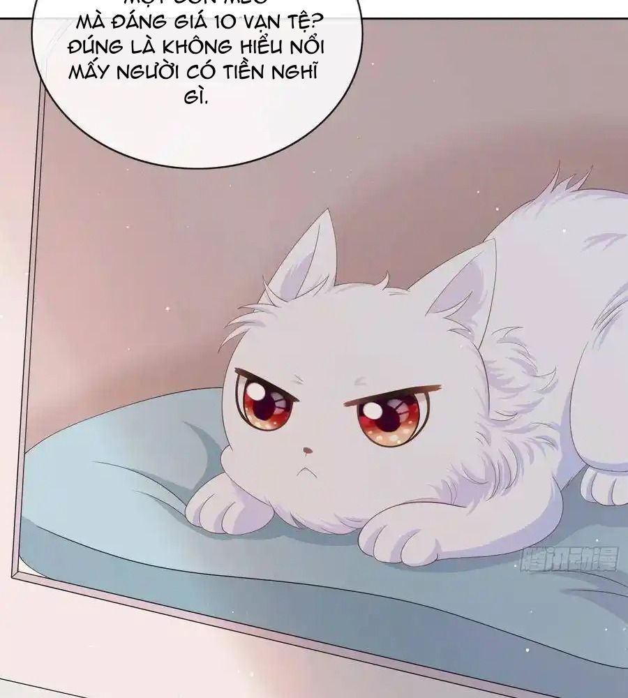 Làm Ảnh Hậu Không Bằng Học Thanh Hoa - Chapter 14 - Page 11