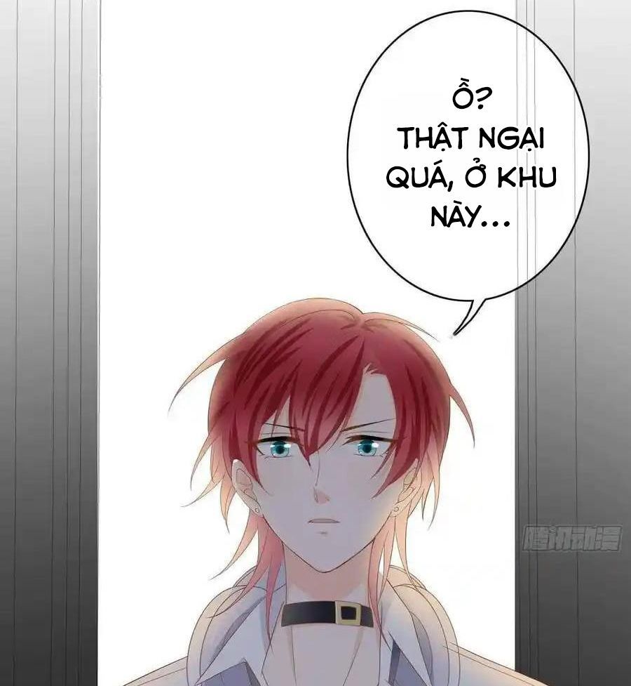 Làm Ảnh Hậu Không Bằng Học Thanh Hoa - Chapter 4 - Page 17