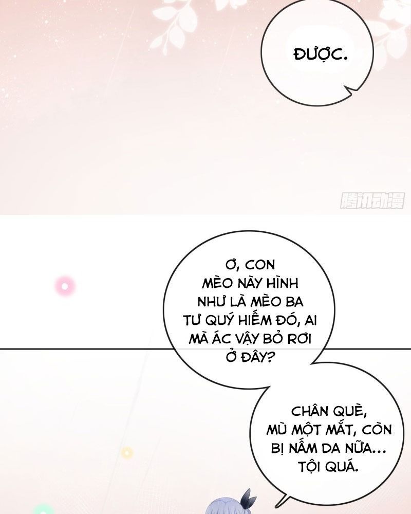 Làm Ảnh Hậu Không Bằng Học Thanh Hoa - Chapter 76 - Page 15