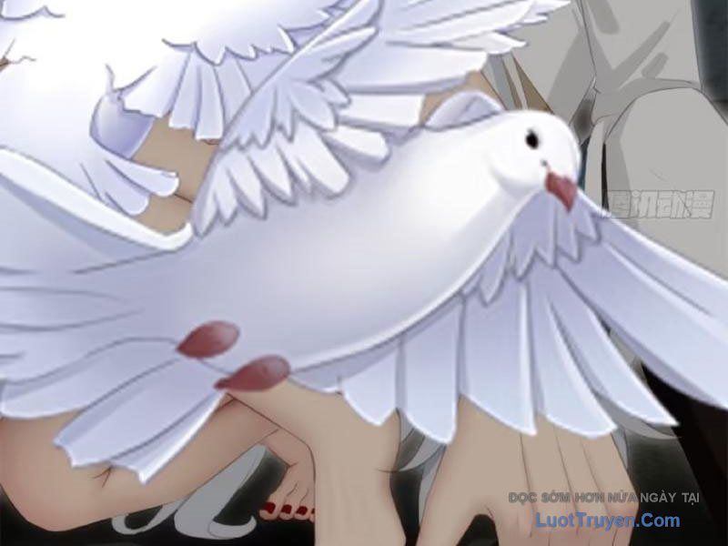 Giáo Chủ Ma Giáo Vụng Trộm Xem Ta Tu Luyện - Chapter 33 - Page 40