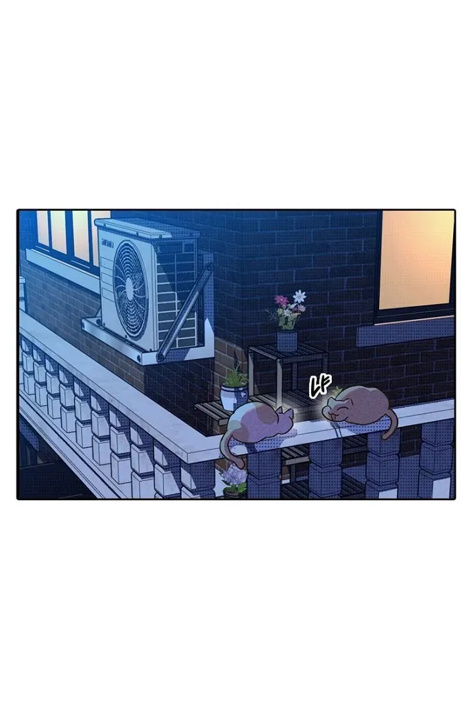 Thập Chi Nhị Thiếu Nữ - Chapter 5 - Page 17