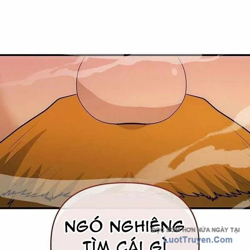 Thủ Hộ Thành Bằng Quái Vật Thuần Hóa - Chapter 11 - Page 13