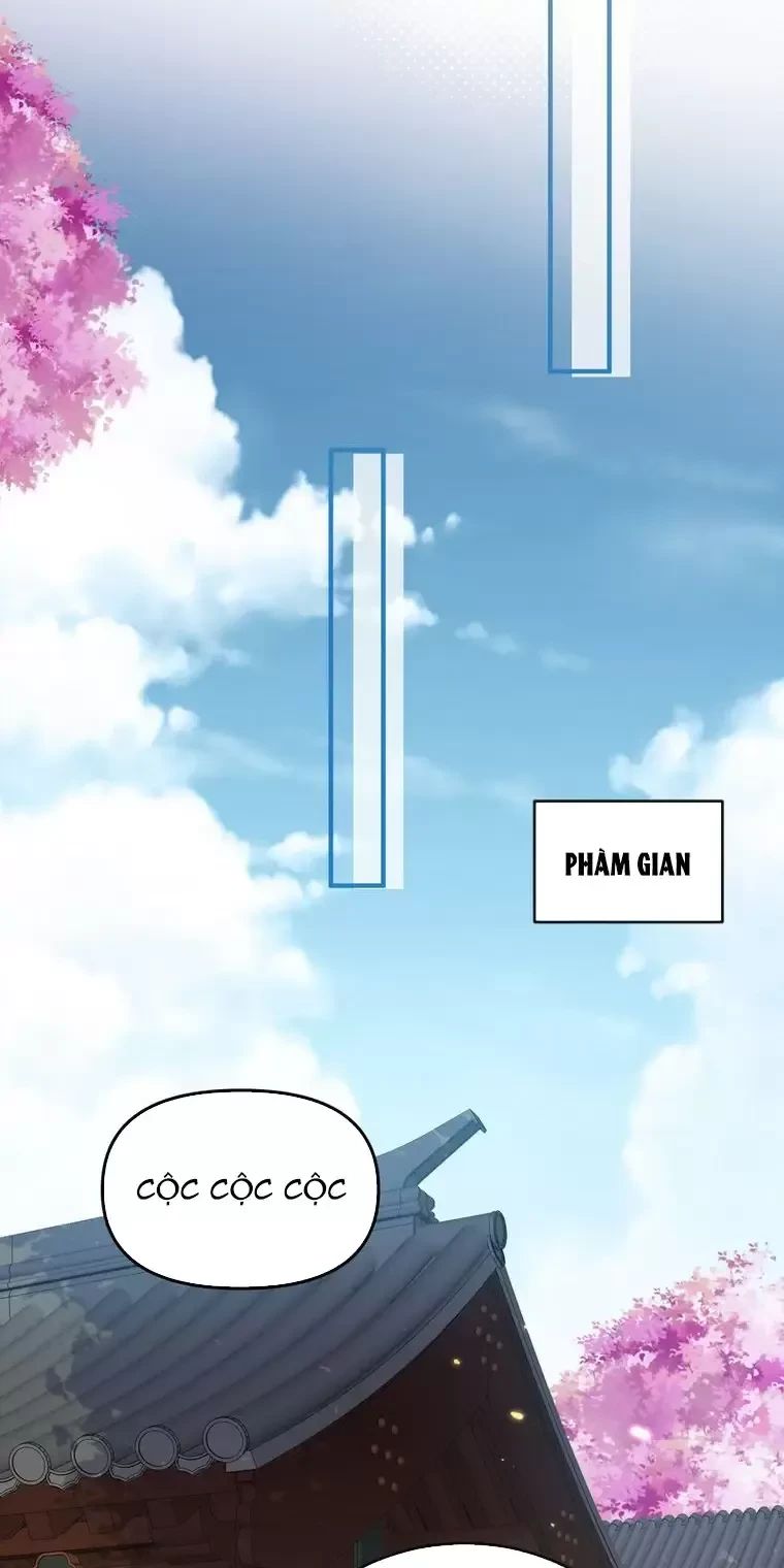 Ta Vô Địch Lúc Nào - Chapter 209 - Page 28