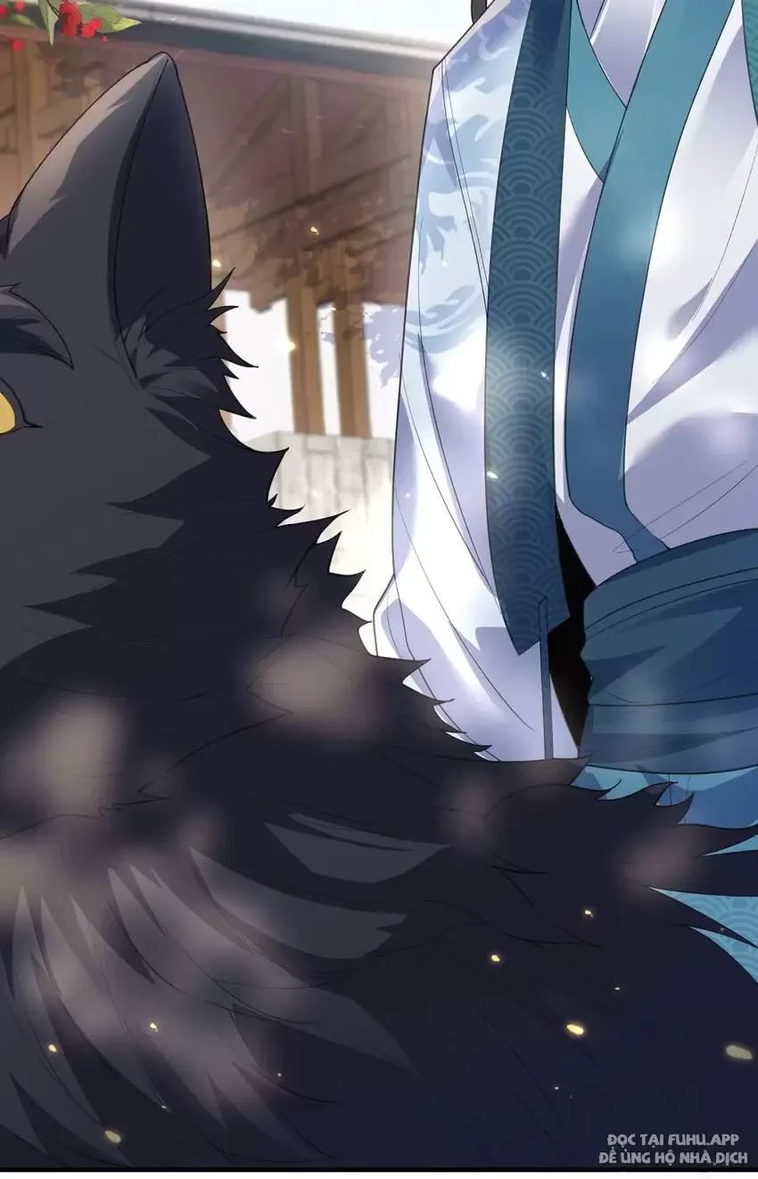 Ta Vô Địch Lúc Nào - Chapter 213 - Page 17