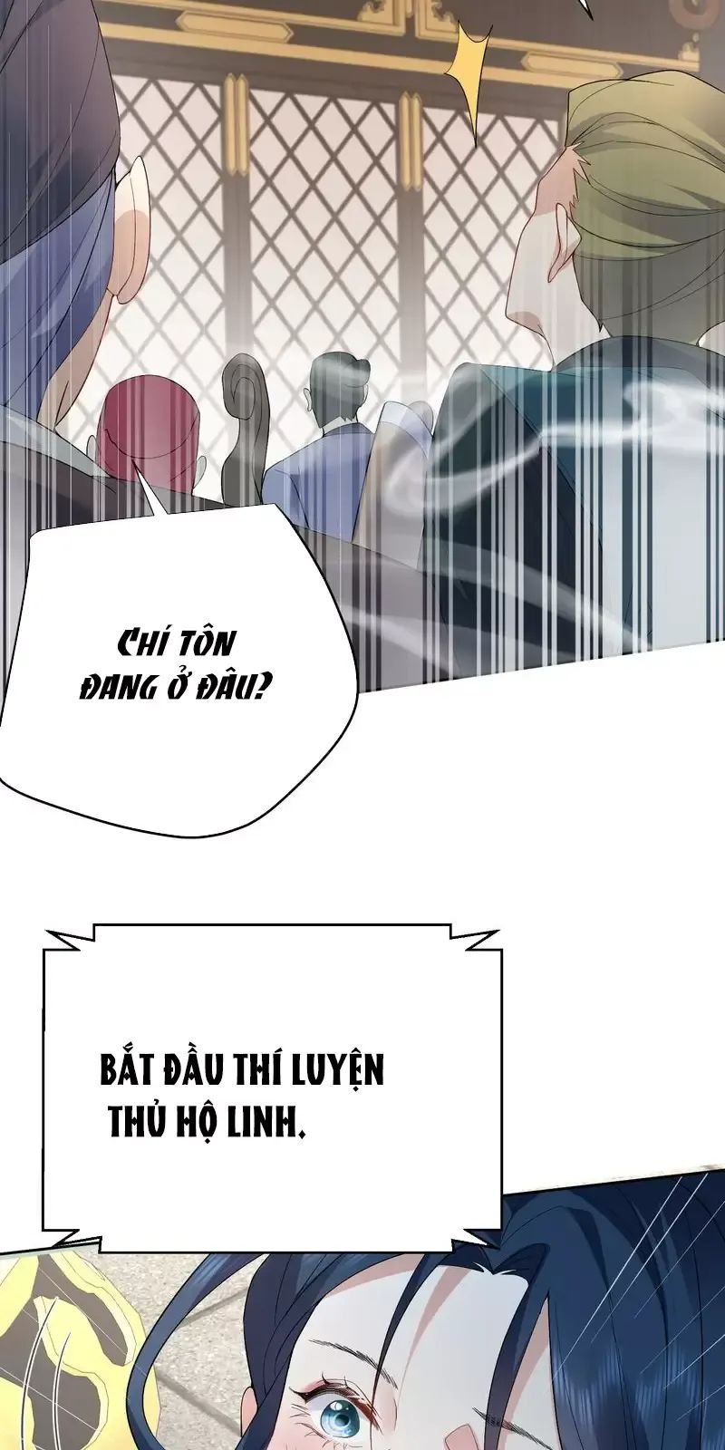 Ta Vô Địch Lúc Nào - Chapter 247 - Page 14