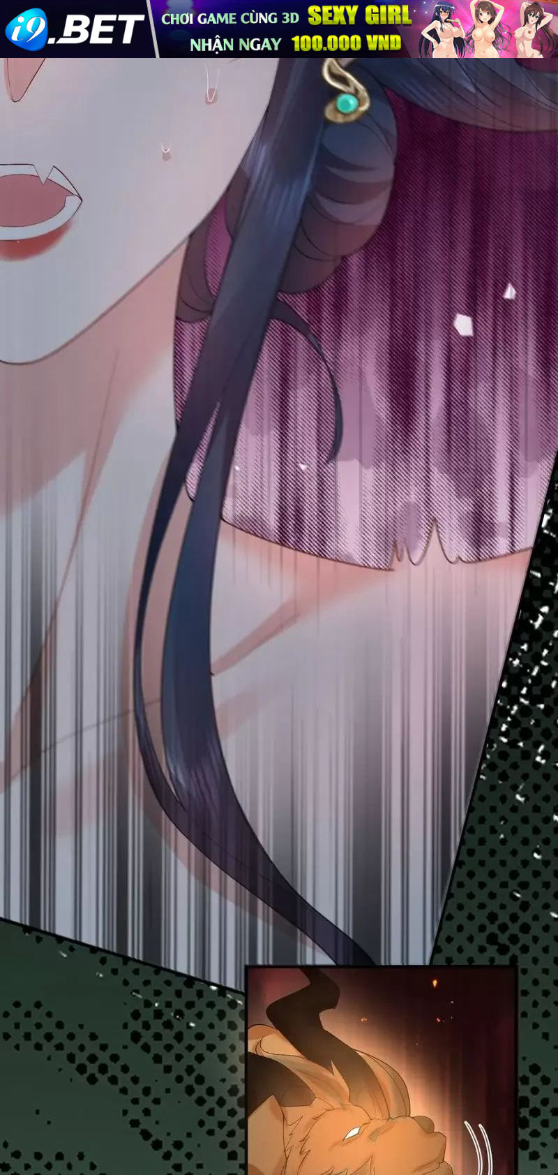 Ta Vô Địch Lúc Nào - Chapter 249 - Page 14