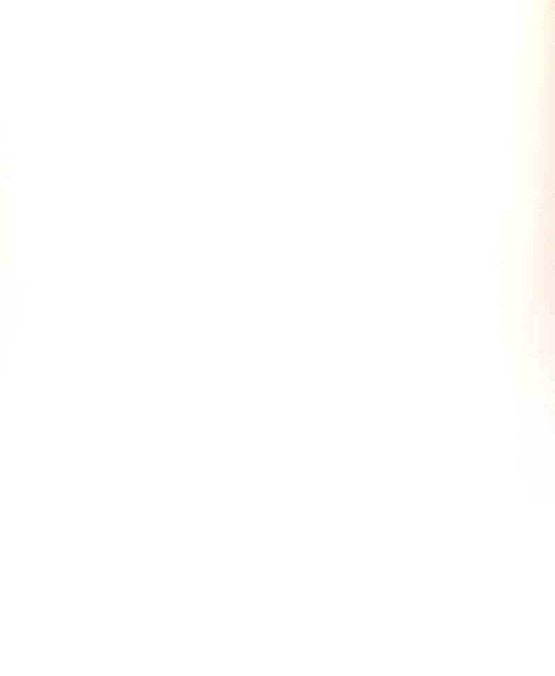 Hồi Quy Với Sức Mạnh Của Nhà Vua - Chapter 1 - Page 137