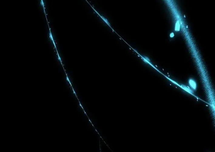 Thiên Ma Giáo - Chapter 39 - Page 88