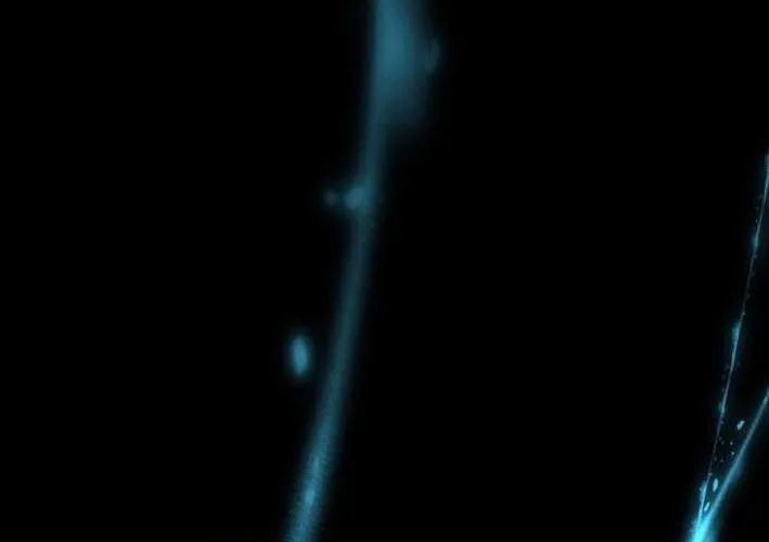 Thiên Ma Giáo - Chapter 39 - Page 90