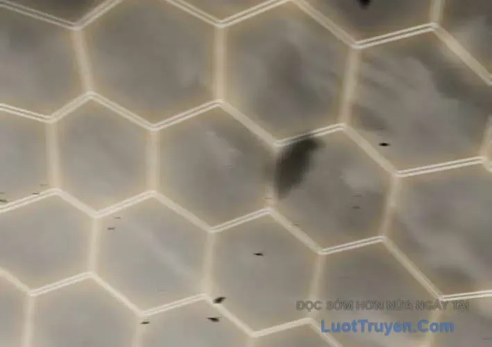 Thiên Ma Giáo - Chapter 40 - Page 331