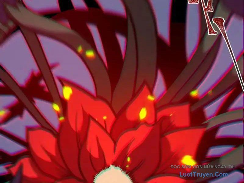 Sau Khi Chia Tay Hoa Khôi, Võ Đạo Của Ta Thẳng Tới Cấp Thần - Chapter 35 - Page 11