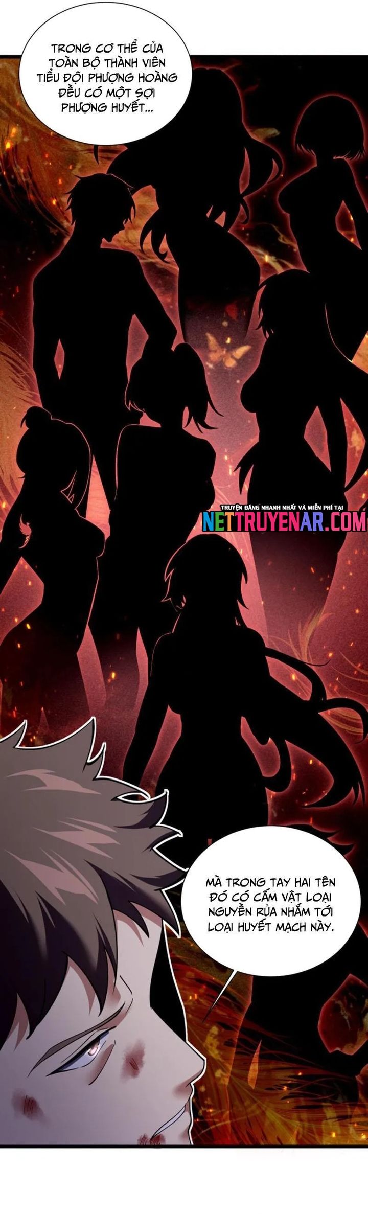 Ta Học Trảm Thần Trong Bệnh Viện Tâm Thần - Chapter 290 - Page 12