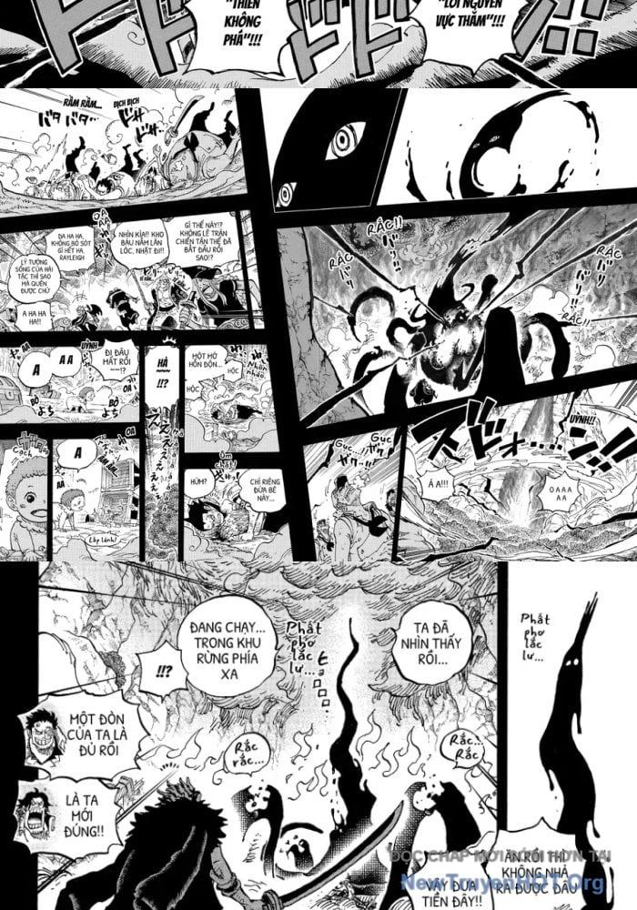 Đảo Hải Tặc - Chapter 1163.5 - Page 11