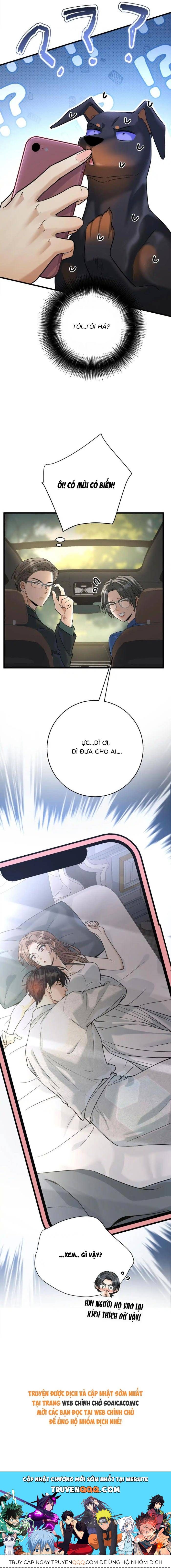 Tổng Tài Chó - Chapter 49 - Page 11