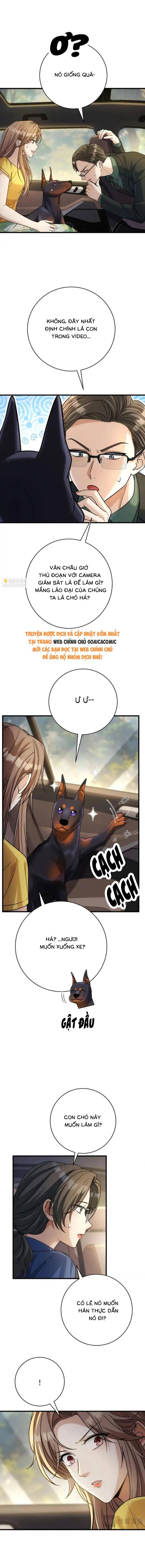 Tổng Tài Chó - Chapter 50 - Page 3