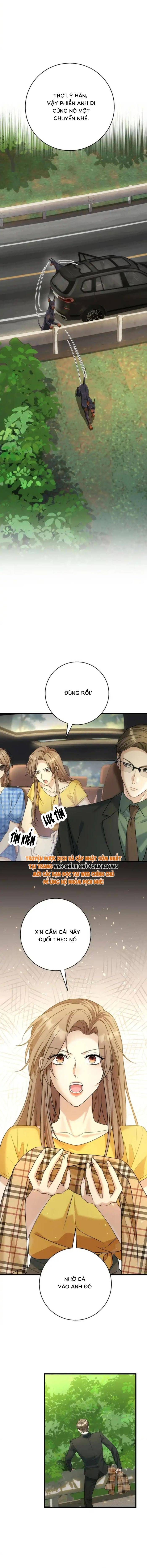 Tổng Tài Chó - Chapter 50 - Page 4