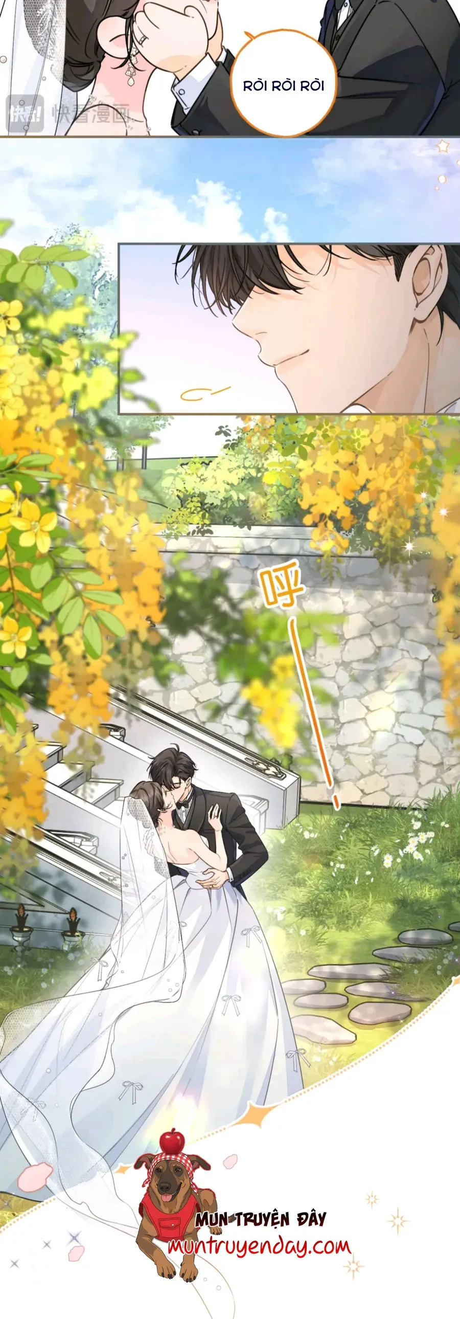 Tổng Tài Đuổi Vợ Lại Khóc Lóc Cầu Xin Vợ Quay Lại - Chapter 110 - Page 11