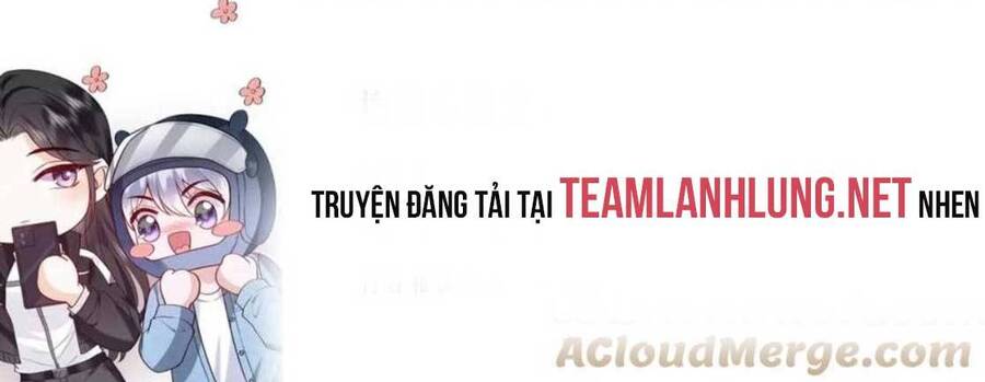 Tổng Tài Đuổi Vợ Lại Khóc Lóc Cầu Xin Vợ Quay Lại - Chapter 13 - Page 3