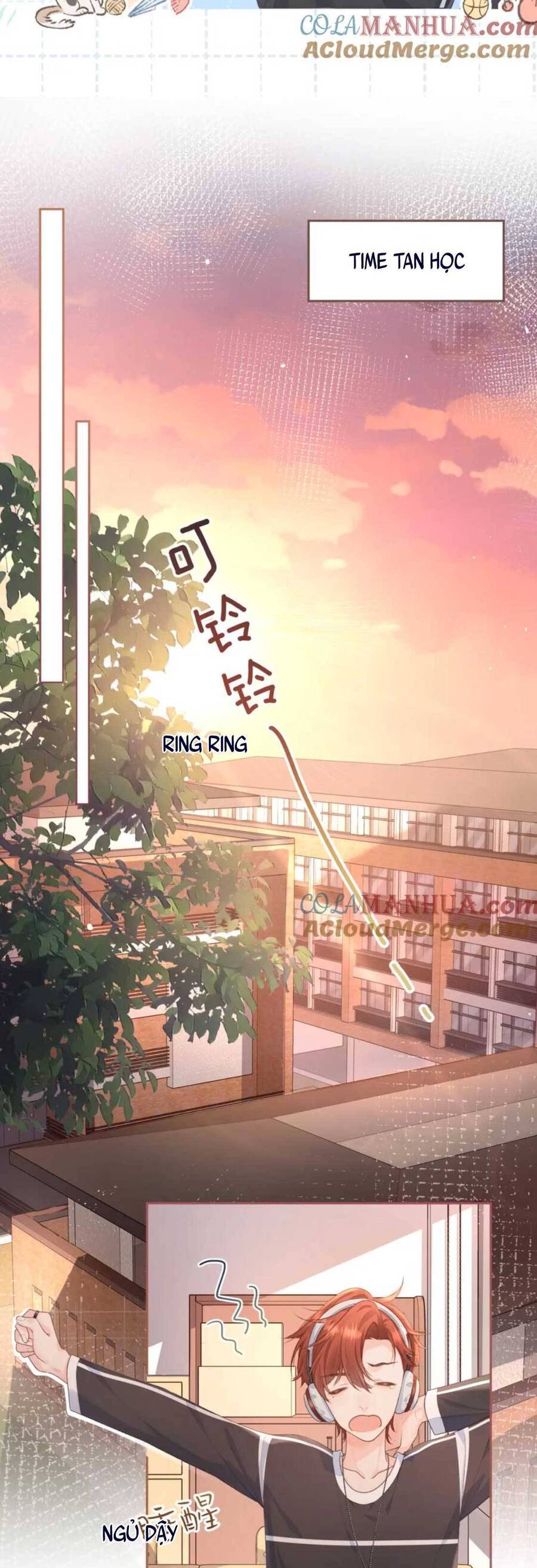 Tổng Tài Đuổi Vợ Lại Khóc Lóc Cầu Xin Vợ Quay Lại - Chapter 6 - Page 18