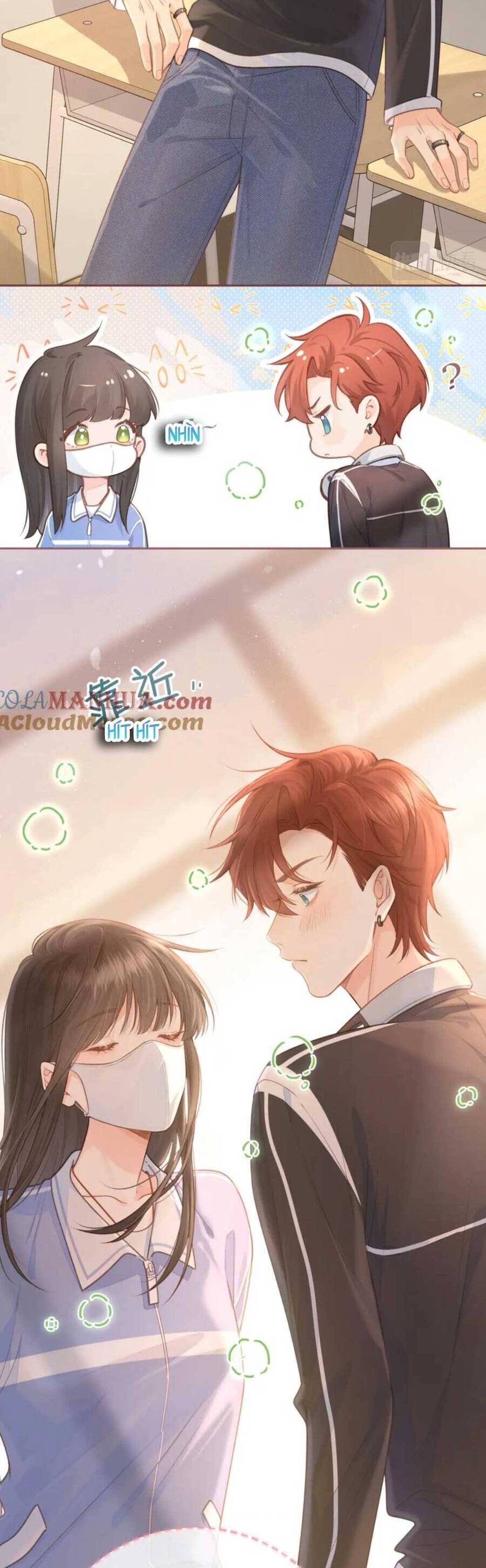 Tổng Tài Đuổi Vợ Lại Khóc Lóc Cầu Xin Vợ Quay Lại - Chapter 6 - Page 4